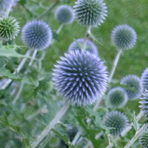 yNz GLmvX i^}AU~j u[O[yCObVK[fzyhCt[z