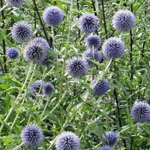 yNz GLmvX i^}AU~j g yCObVK[fzyhCt[z