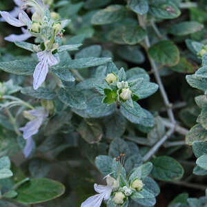 yΒ؁z c[W[}_[ yJ[[tz