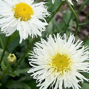 yhzVX^[f[W[ Xm[htgy{[_[K[fz