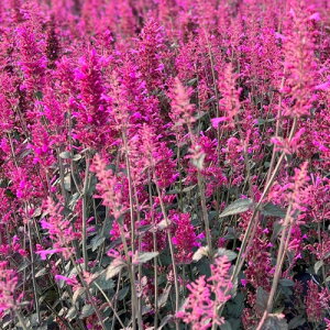 yhzAKX^[VF {yCObVK[fz