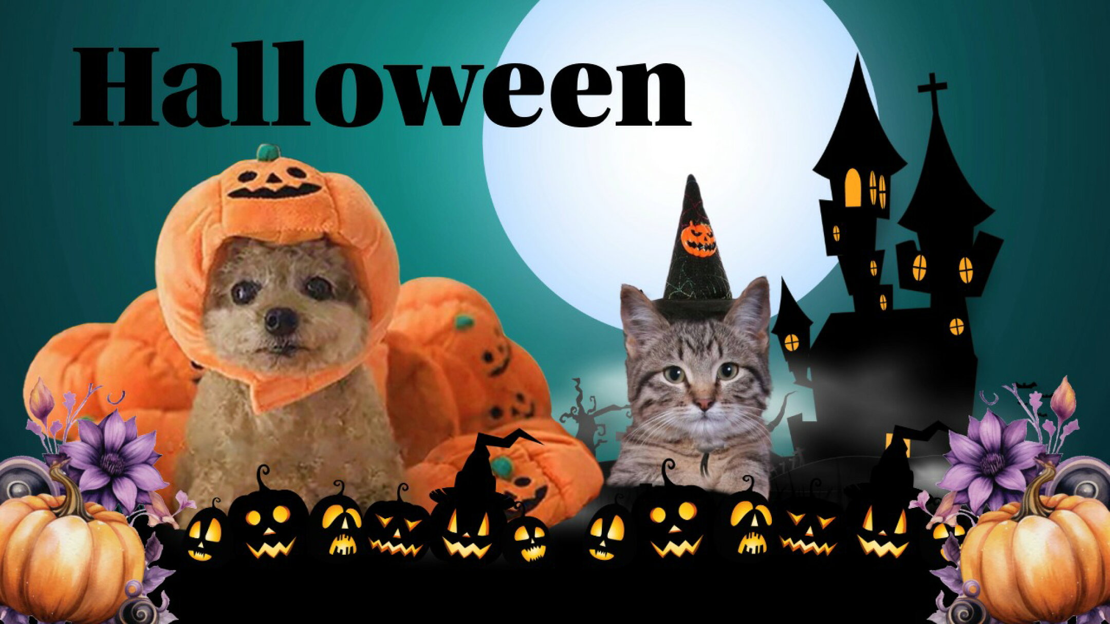 ハロウィングッズ特集