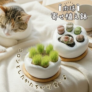 �T�{�e�� �����A�� ���A�� �񂹐A���� �L�� �v�����^�[ ���킢�� ������ �����^ �؍��� � �L �A�ؔ� �A�� �ۋ� ���^ �~�j �C���h�A�O���[�� �e�����E�� �� �󂯎M�t�� ������ �Z�p���[�g��