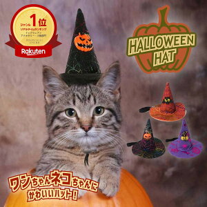 nEB ybg  L RXv  @g OpXq  nbg ybgp RX`[ 킢 蕨 p[eB[ObY CX^f Cxg vo yĉ AWX^[