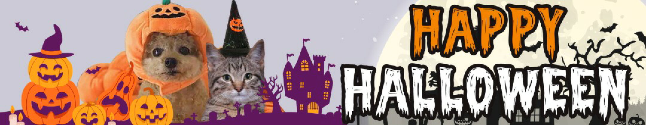 ハロウィングッズ特集