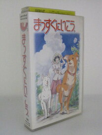楽天市場 まっすぐにいこう Cd Dvd の通販