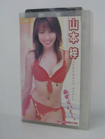 楽天市場 山本梓 Dvdの通販 楽天市場 山本梓 Dvdの通販