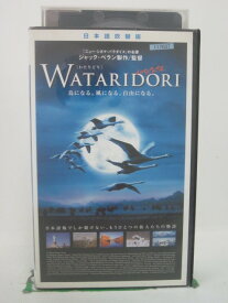 H5 41341【中古・VHSビデオ】「WATARIDORI」日本語吹替版