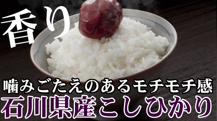 楽天市場】【石川県産 米 10kg】令和6年産コシヒカリ10kg玄米