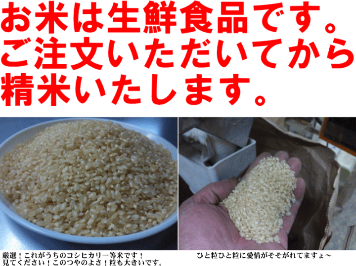 楽天市場】【石川県産 特別栽培米 2kg】令和6年産特別栽培米 楽天市場】【石川県産 特別栽培米 2kg】令和6年産特別栽培米