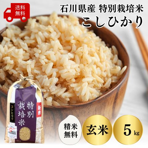 石川県産 コシヒカリの人気商品・通販・価格比較 - 価格.com