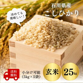 【石川県産 米 25kg】令和7年産コシヒカリ玄米25kg 小分できます（玄米5kg×5袋）送料無料 こしひかり 玄米