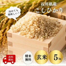 【石川県産 米 5kg】令和7年産コシヒカリ5kg玄米送料無料 農家直送 こしひかり玄米 精米 選べます 精米無料