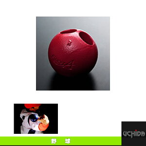 �t�B���K�[�G�[�X�^�g���[�j���O�p�^�S���^�C�v�iFAI-R�j�w�싅�g���[�j���O�p�i ���c�̔��V�X�e���x