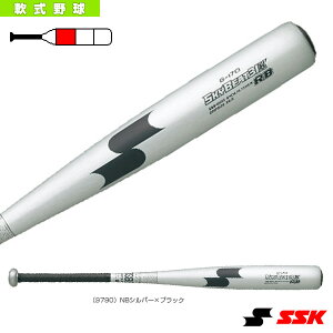 XJCr[g31K RB SKYBEAT31K RB ʓobg SBB4000w싅obg GXGXPCx
