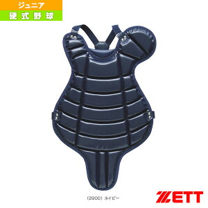 Nd싅pveN^[ {[CY[Owi BLP2101Aw싅veN^[ [bgx