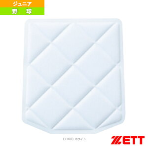 NpՌzpbh qbv PA110JHw싅ANZTE [bgx