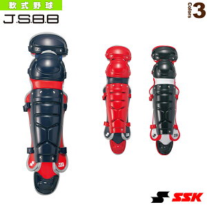 pK[Y _uJbv CNL2100Cw싅veN^[ GXGXPCx