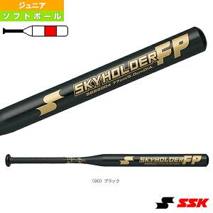 SKYHOLDER FP XJCz_[FP \tg{[2obg WjA SBB6004-90w\tg{[obg GXGXPCx