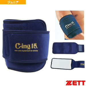 ACVOT|[^[ Cing15 ЂEЂEp WjA AIC2600JwI[X|[cANZTE [bgx