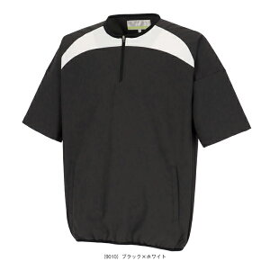 n[tZIP NXg[jO BWC2501w싅EFAiY/jj GXGXPCx