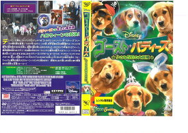 楽天市場 バディーズ Dvdの通販