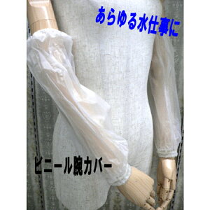 rj[rJo[ rp1o RہEh d A[Jo[ 荷 yy_yjcƁzyy_jcƁz