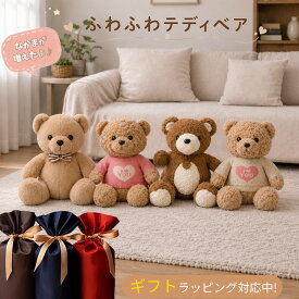 【20%OFFクーポンで3184円】ぬいぐるみ テディベア 50cm ふわふわ くま 熊 ベア ソフトトイ かわいい 洗える ギフト プレゼント 誕生日 出産祝い 子ども 大人 送料無料