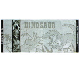 恐竜博士フェイスタオル　恐竜のリアルな写真ジャガード織タオル
