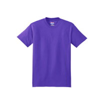 楽天市場】hanes beefy（カラーパープル）（メンズファッション）の通販