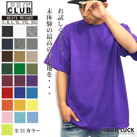 プロクラブ Tシャツ PRO CLUB 半袖Tシャツ ヘビーウェイト 無地 B系 ストリート パステル 淡い色 USサイズ メンズ レディース シャツ Tシャツ 厚手 厚手のTシャツ 文化祭 クラスTシャツ