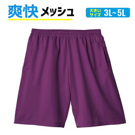 メンズ メッシュパンツ 大きいサイズ ハーフパンツ ドライ 半ズボン バスパン UV カット 吸汗 速乾 夏 でかい 部屋着 パンツ ジャージ スポーツ トレーニング ユニフォーム 部活 半ズボン ジム マッサージ ヨガ フィットネス 銭湯 S M L LL 爽快