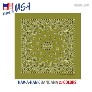 o_i  唻TCY AJ nonN HAV-A-HANK yCY[ Y fB[X jp MADE IN USA 100 Rbg Lv _X ߑ HIPHOP [C_[ C~ ٓ c