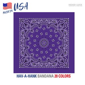 o_i  唻TCY AJ nonN HAV-A-HANK yCY[ Y fB[X jp MADE IN USA 100 Rbg Lv _X ߑ HIPHOP [C_[ C~ ٓ c