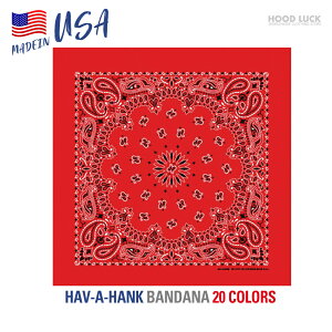 o_i  唻TCY AJ nonN HAV-A-HANK yCY[ Y fB[X jp MADE IN USA 100 Rbg Lv _X ߑ HIPHOP [C_[ C~ ٓ c