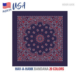 o_i  唻TCY AJ nonN HAV-A-HANK yCY[ Y fB[X jp MADE IN USA 100 Rbg Lv _X ߑ HIPHOP [C_[ C~ ٓ c