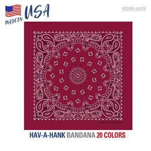 o_i  唻TCY AJ nonN HAV-A-HANK yCY[ Y fB[X jp MADE IN USA 100 Rbg Lv _X ߑ HIPHOP [C_[ C~ ٓ c