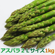 【予約】 アスパラガス 1kg 極太 送料無料 優品 グリーンアスパラ 1kg アスパラガス 2Lサイズ アスパラガ…