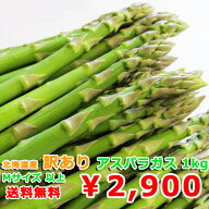 【予約】 アスパラ 訳あり 送料無料 北海道産 グリーンアスパラ 1kg Mサイズ以上 送料無料 アスパラガス …