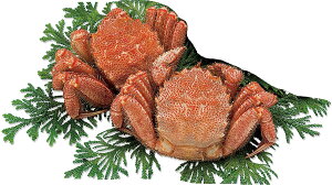  уKj I Mtg u{C уKj  2 v Mtg Jj I  ъI т  уKj CN CY Ⓚ kC kCY