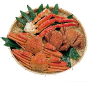    uɐZbgv 3傪 {C ^o 킢 т Zbg CN Mtg {C