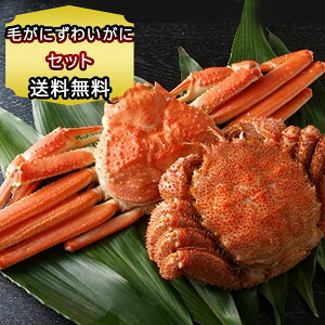  Mtg Zbg lߍ킹 тɂ킢 Hה I {C e1 ̂Ή CN Mtg i  Jj 蕨 2t  YCI