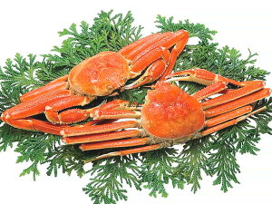 送料無料 ずわいがに 姿 蟹 ギフト 「ボイル ずわいがに 姿 中2尾 約1kg」 ギフト カニ 蟹 かに ずわいがに ずわい蟹 ズワイ蟹 ズワイガニ 海鮮 海産物 冷凍 北海道