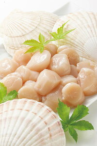  ق kCY قĊL uXقĊLij400gv 18ʑO z^eL kCY  ϔ L Mtg hg Ⓚ ʗ z^e