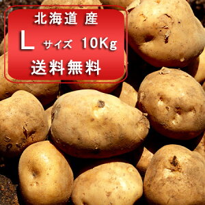 kCY Ⴊ k Ⴊ  LTCY 10kg kCŶႪ k  L^AJ