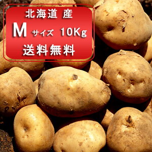   kCY Ⴊ k MTCY 10kg kCY WKC L^AJ Ⴊ 