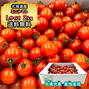 トマト 北海道産の人気商品 通販 価格比較 価格 Com