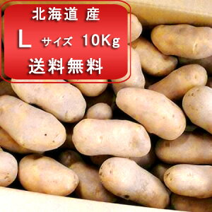 [NC 10kg LTCY  Ⴊ kC [NC kCY Ⴊ [NC LTCY 10kg WKC kC 