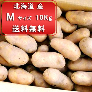 [NC 10kg  MTCY Ⴊ kC [NC kCY Ⴊ [NC MTCY 10kg WKC kC