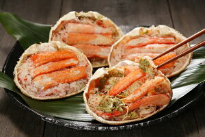 ґ kCY 킢ɍb 4Zbg ނgX Mtg i